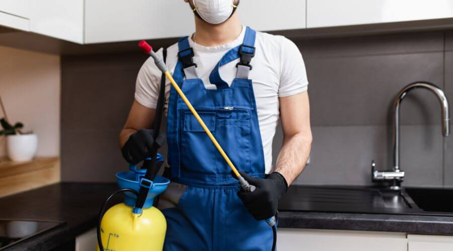 Why choose Rat Control Woodhill for rat control in Woodhill